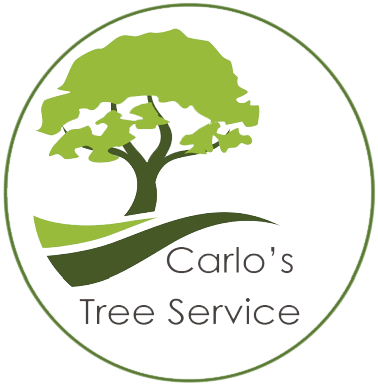 Carlo's Tree Service